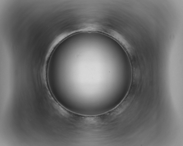 X0000112151480200908071106