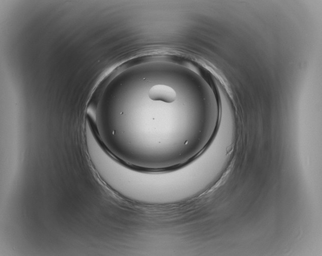 X0000112151481200908071106