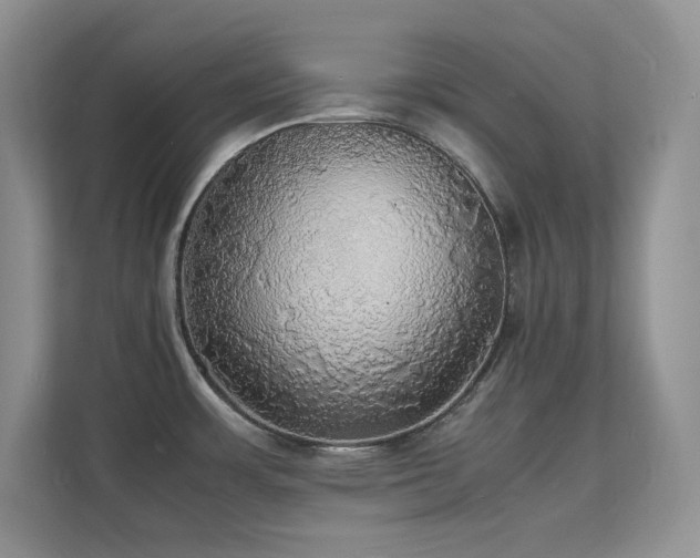 X0000112151483200908071106