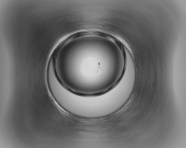 X0000112151485200908071106