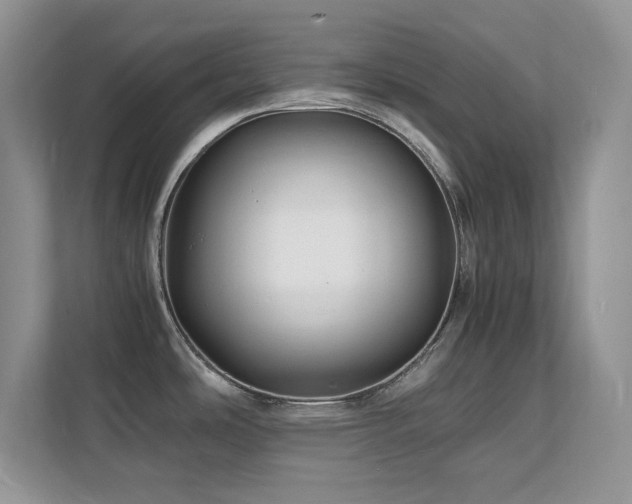 X0000112151486200908071106