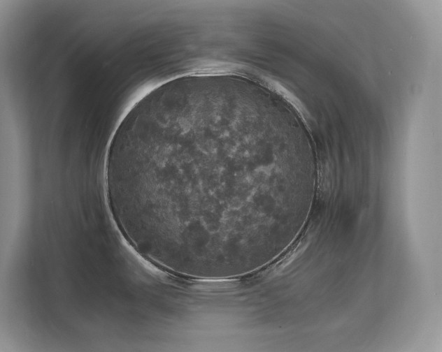 X0000112151487200908071106