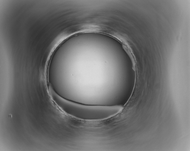 X0000112151488200908071106