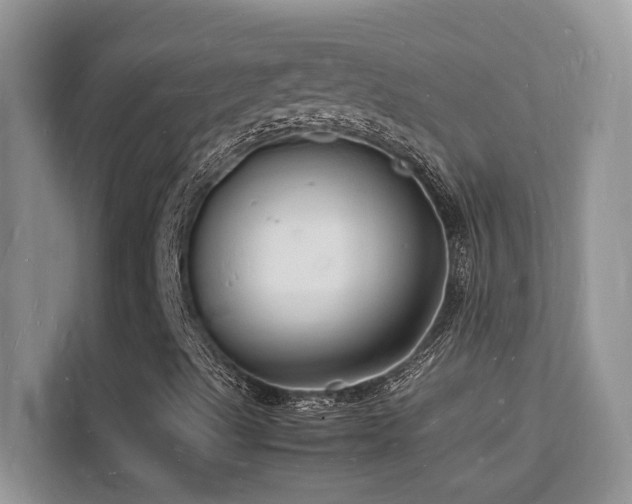 X0000112151489200908071105