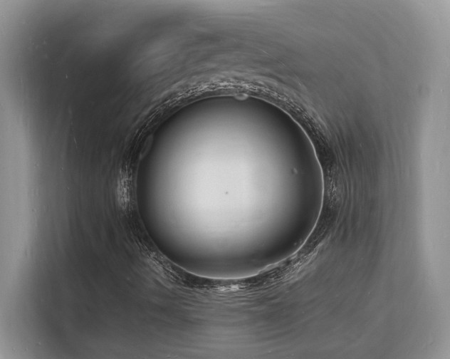 X0000112151490200908071105