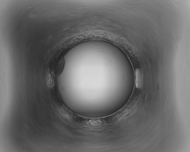 X0000112151491200908071105