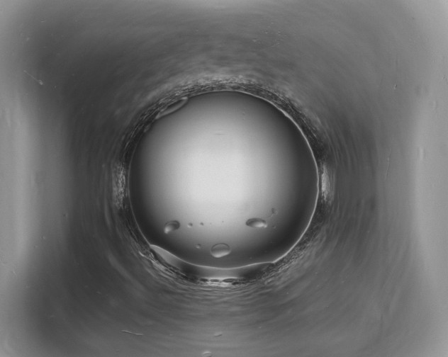 X0000112151492200908071105