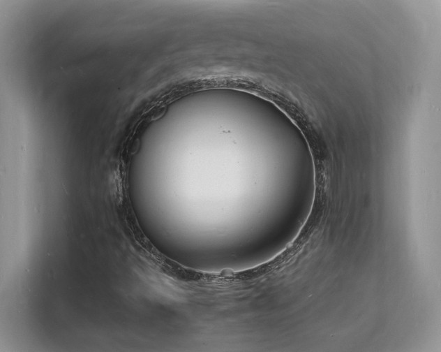 X0000112151493200908071105