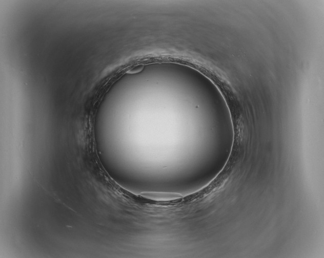 X0000112151494200908071105