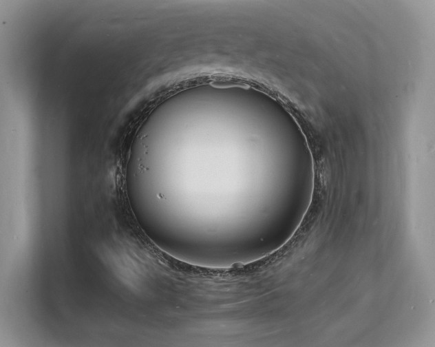 X0000112151495200908071105