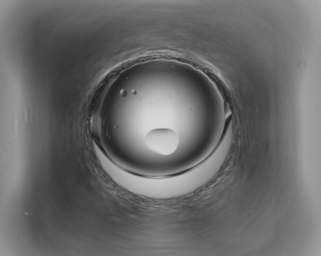 X0000112151496200908071105