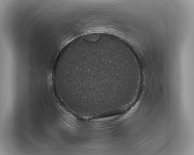 X0000112151497200908071105