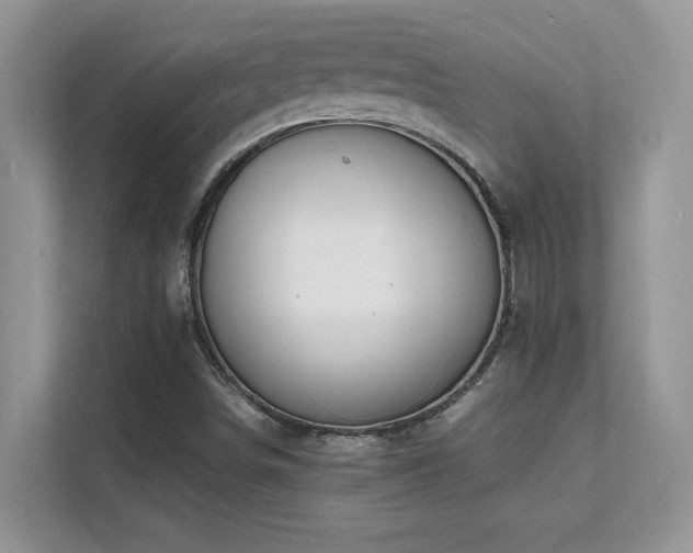 X0000112151498200908071105