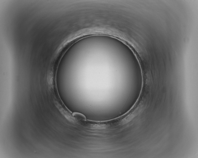 X0000112151499200908071105