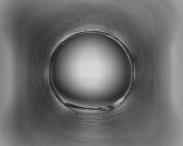 X0000112151500200908071105