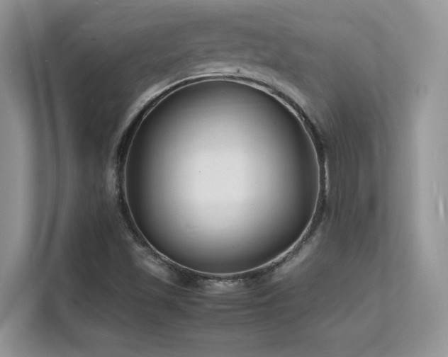 X0000112151501200908071105