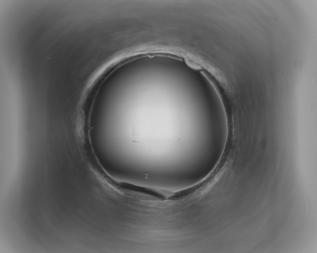 X0000112151502200908071105