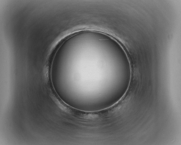 X0000112151503200908071105