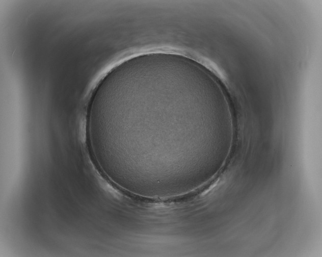 X0000112151504200908071105