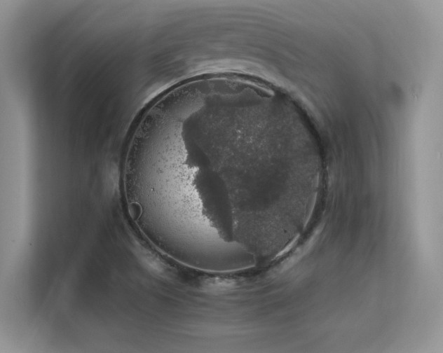 X0000112151505200908071105