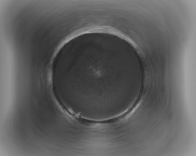 X0000112151506200908071105