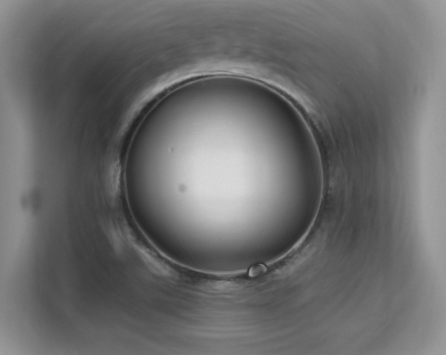 X0000112151507200908071105