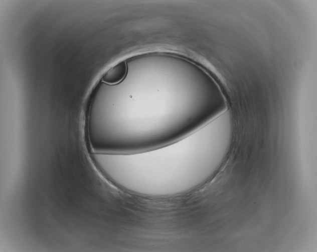 X0000112151508200908071105