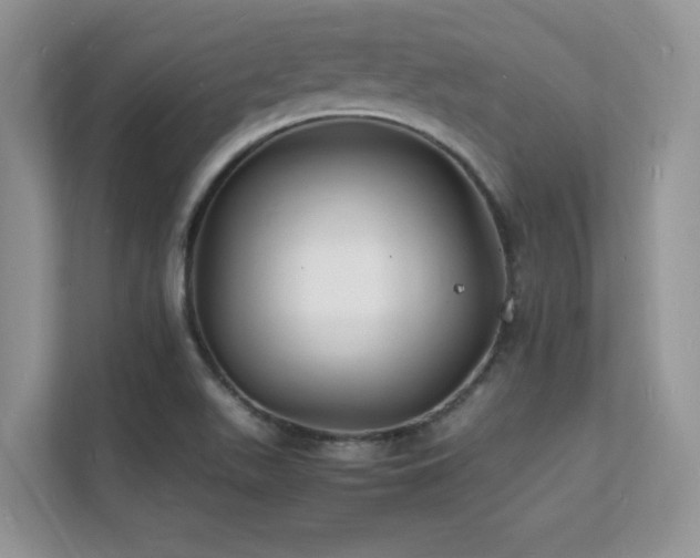 X0000112151511200908071105