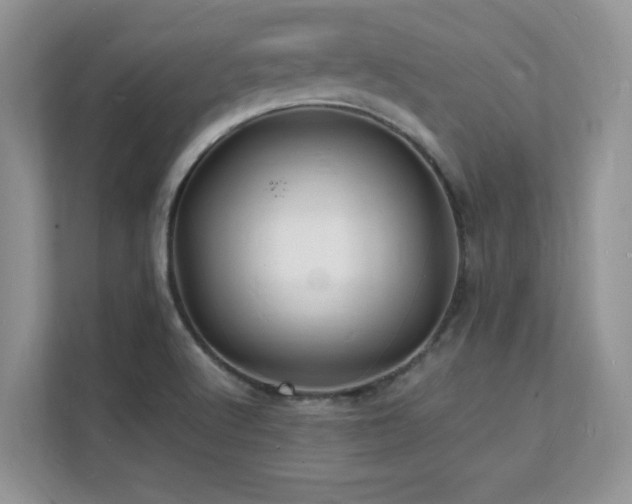 X0000112151512200908071105