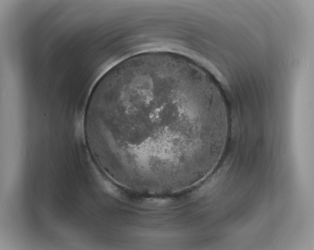 X0000112151513200908071105