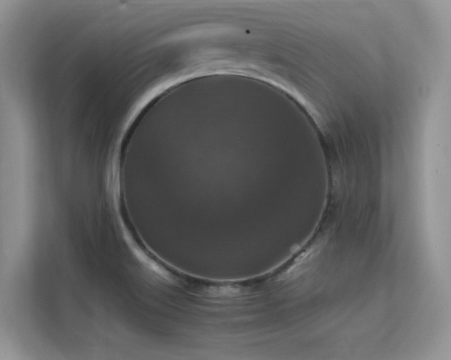 X0000112151515200908071105