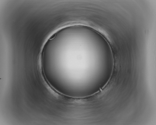 X0000112151516200908071106