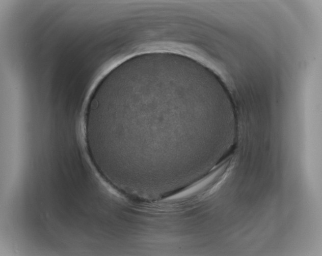 X0000112151517200908071106
