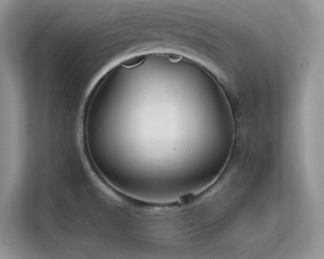 X0000112151518200908071106
