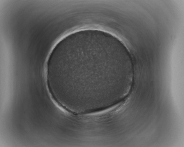 X0000112151519200908071106