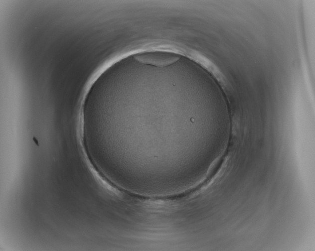 X0000112151520200908071106