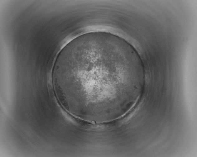 X0000112151521200908071106
