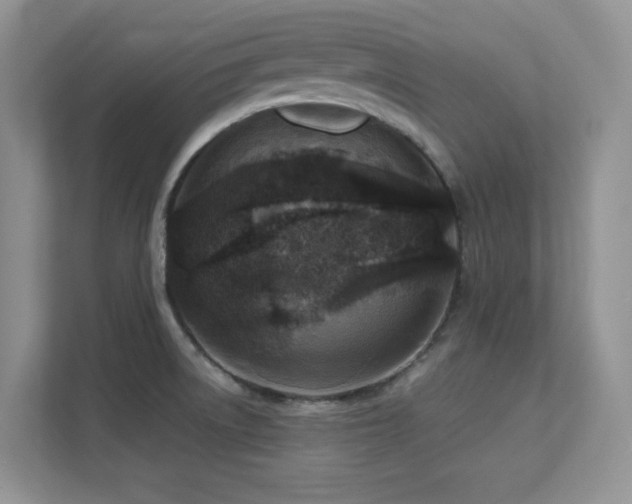 X0000112151522200908071106