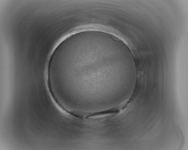 X0000112151523200908071106