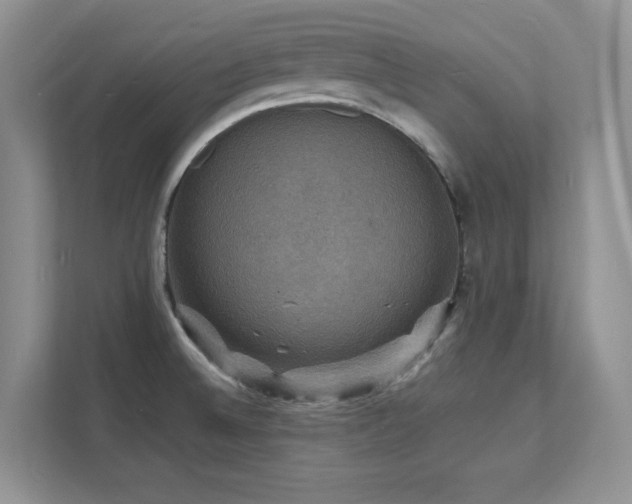 X0000112151524200908071106