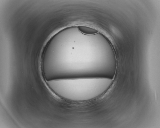 X0000112151525200908071106