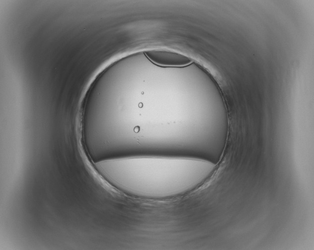 X0000112151526200908071106