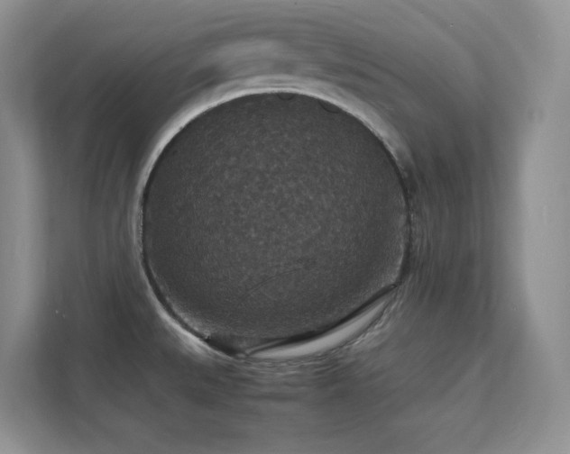 X0000112151527200908071106
