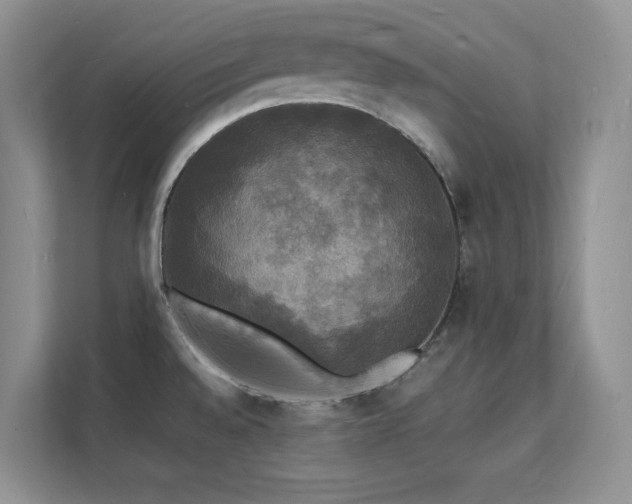 X0000112151528200908071106