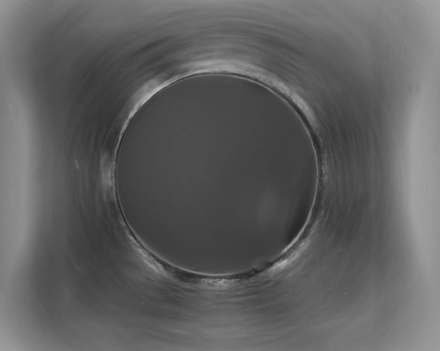 X0000112151529200908071106