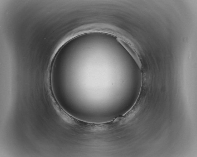 X0000112151530200908071106