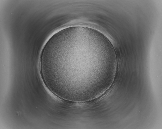 X0000112151531200908071106