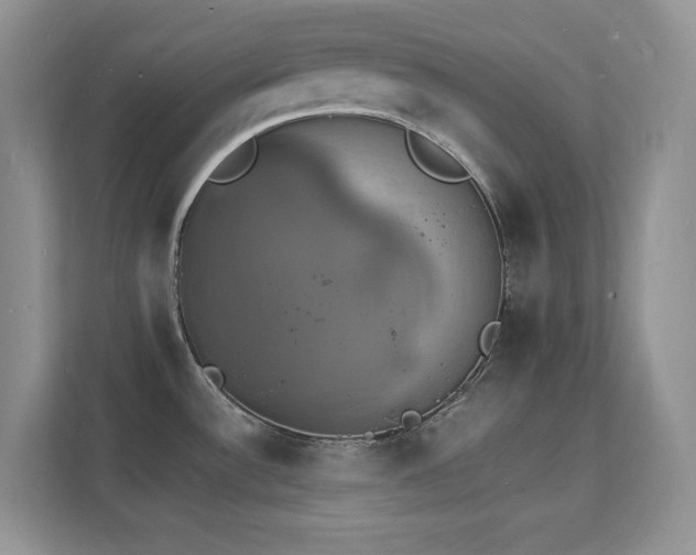 X0000112151532200908071106