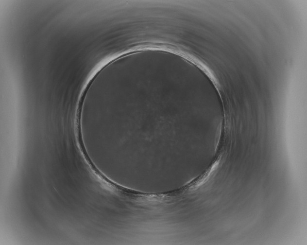 X0000112151533200908071106