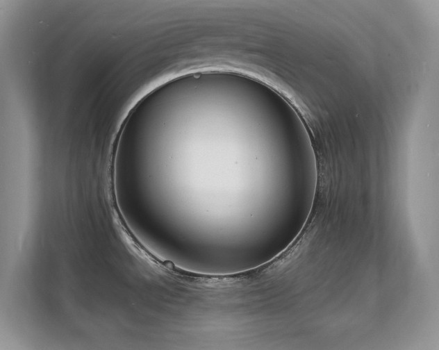 X0000112151534200908071106